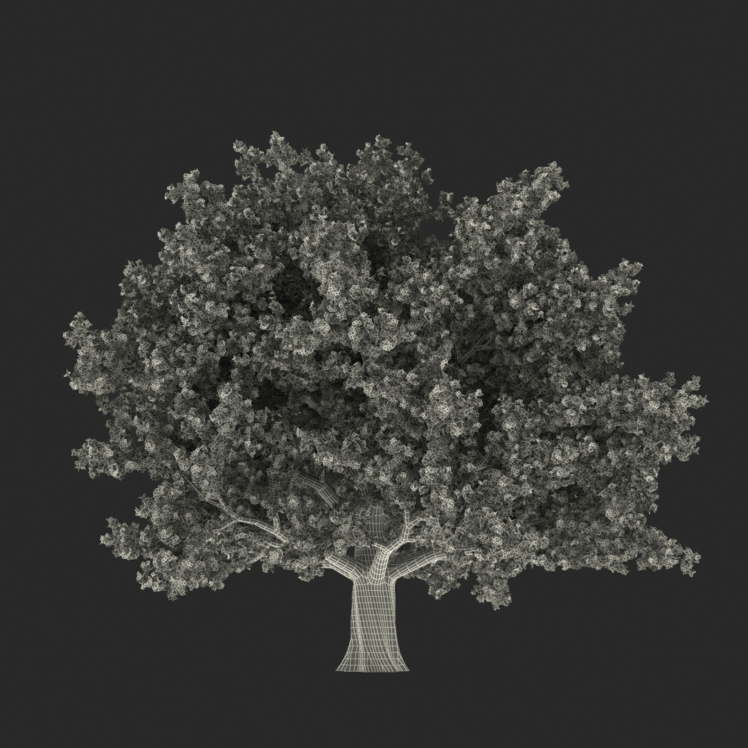 3d red oak old tree model https://p.turbosquid.com/ts-thumb/1Z/fPL2bw/ENsoFcBD/red_oak_old_tree_autumn_361/jpg/1456175355/1920x1080/turn_fit_q99/7618b728eec287a56d51c7c865919eb0a9960d7b/red_oak_old_tree_autumn_361-1.jpg