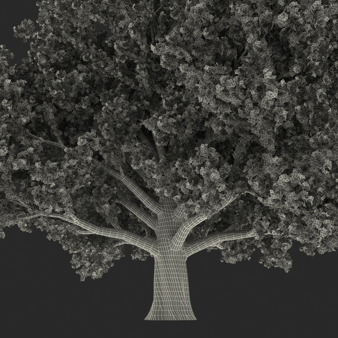 3d red oak old tree model https://p.turbosquid.com/ts-thumb/1Z/fPL2bw/O2m3Z5LH/redoakoldtreeautumn3dmodel23/jpg/1456174990/1920x1080/fit_q87/4cd029c679d9ae23c802fb30a0775880a08b3811/redoakoldtreeautumn3dmodel23.jpg