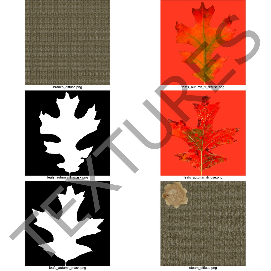 3d red oak old tree model https://p.turbosquid.com/ts-thumb/1Z/fPL2bw/TCsCNaA8/redoakoldtreeautumn3dmodel20/jpg/1456174990/1920x1080/fit_q87/74b5b7088c81e144c2a014098c4b513027188775/redoakoldtreeautumn3dmodel20.jpg