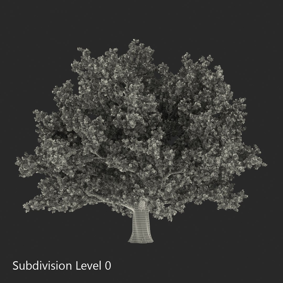 3d red oak old tree model https://p.turbosquid.com/ts-thumb/1Z/fPL2bw/UC1gNV4k/redoakoldtreeautumn3dmodel15/jpg/1456174990/1920x1080/fit_q87/78801cc23fcd04e4c8855c3db9dfadfd22f1dcf9/redoakoldtreeautumn3dmodel15.jpg