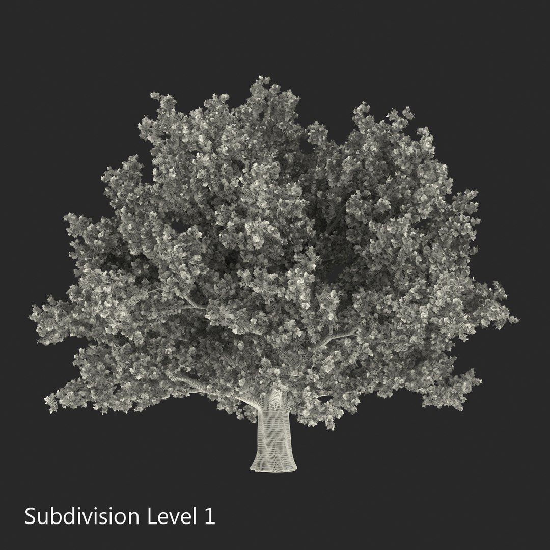 3d red oak old tree model https://p.turbosquid.com/ts-thumb/1Z/fPL2bw/ds3mhdYR/redoakoldtreeautumn3dmodel16/jpg/1456174990/1920x1080/fit_q87/6bfe4869f4b28fb46d501e4d3b266cf09aa9076f/redoakoldtreeautumn3dmodel16.jpg