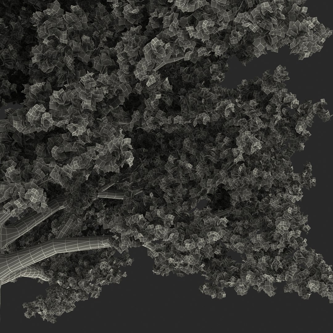 3d red oak old tree model https://p.turbosquid.com/ts-thumb/1Z/fPL2bw/g9xKB7n5/redoakoldtreeautumn3dmodel26/jpg/1456174991/1920x1080/fit_q87/ed34a0cab5d35258e150ca8129019db5b45764cd/redoakoldtreeautumn3dmodel26.jpg