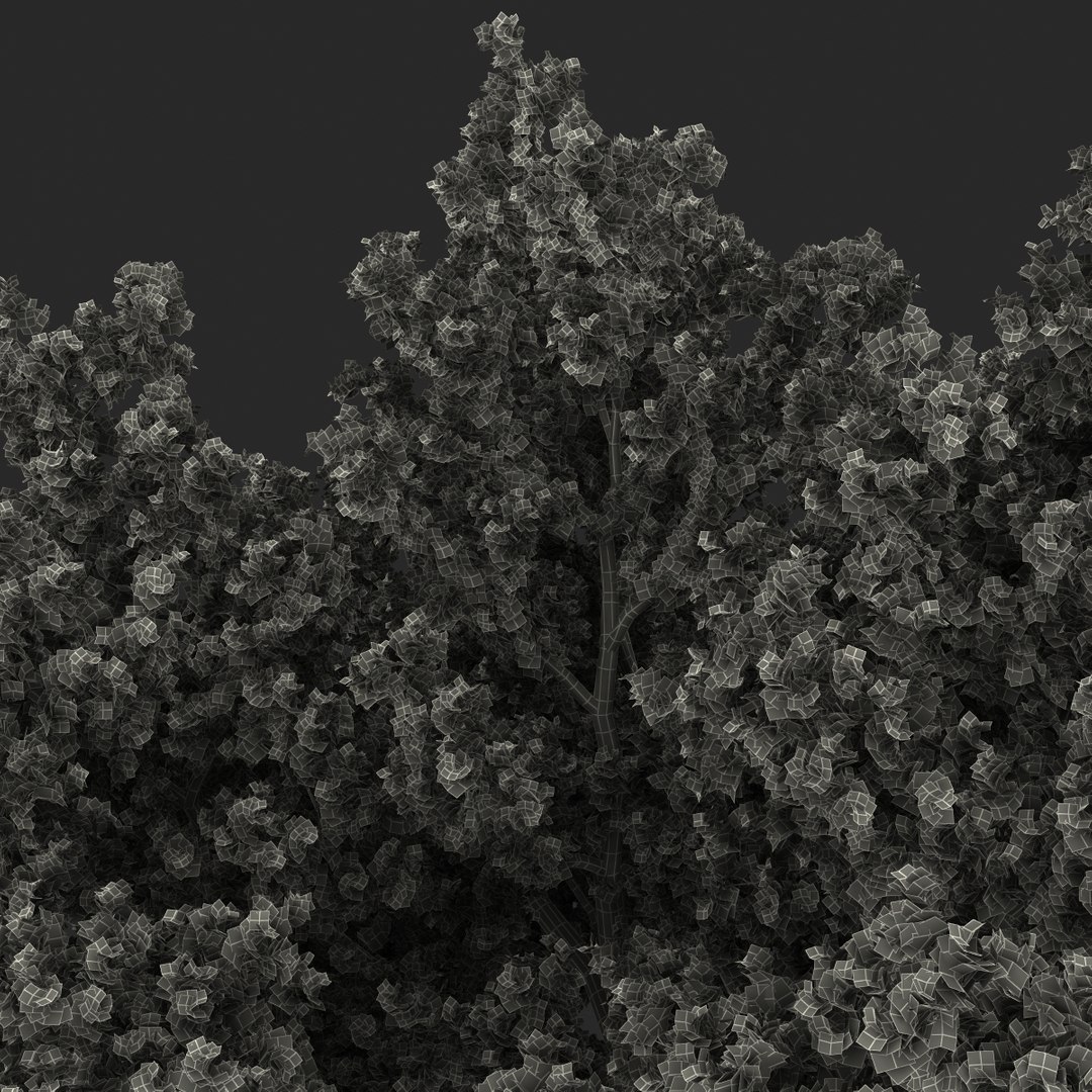 3d red oak old tree model https://p.turbosquid.com/ts-thumb/1Z/fPL2bw/l6OSp9LM/redoakoldtreeautumn3dmodel25/jpg/1456174991/1920x1080/fit_q87/73e3fc58b32f6f372dce086b5438ce32ec1a3434/redoakoldtreeautumn3dmodel25.jpg