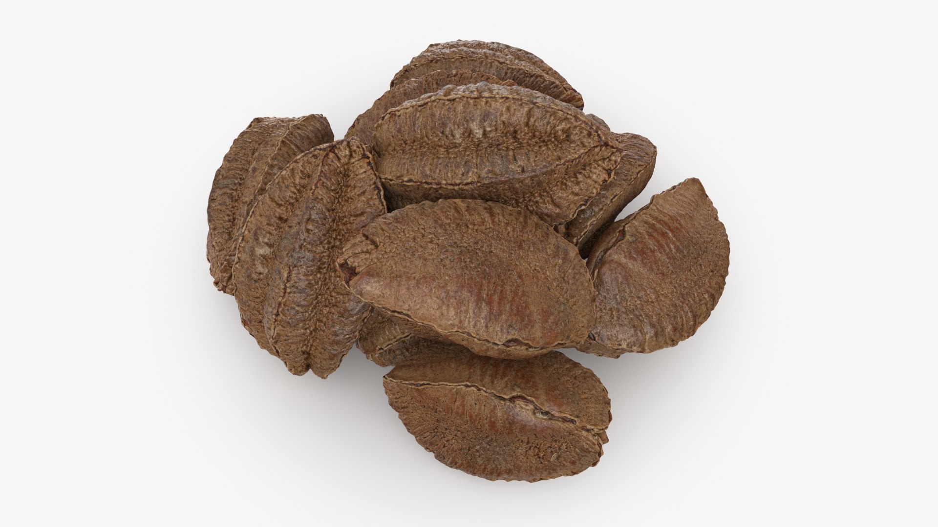 Brazil Nuts In Shell 3D Model - TurboSquid 2282687