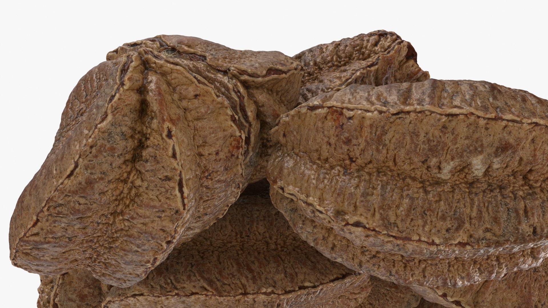 Brazil Nuts In Shell 3D Model - TurboSquid 2282687
