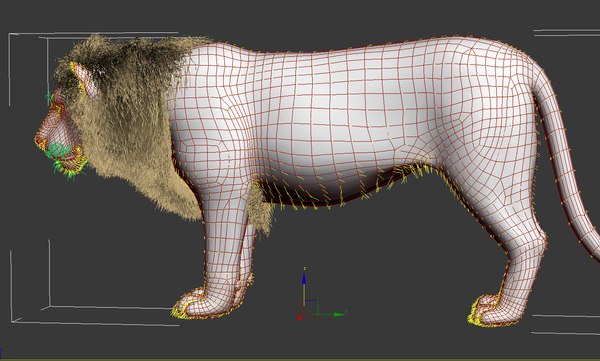 3d lion cat model
