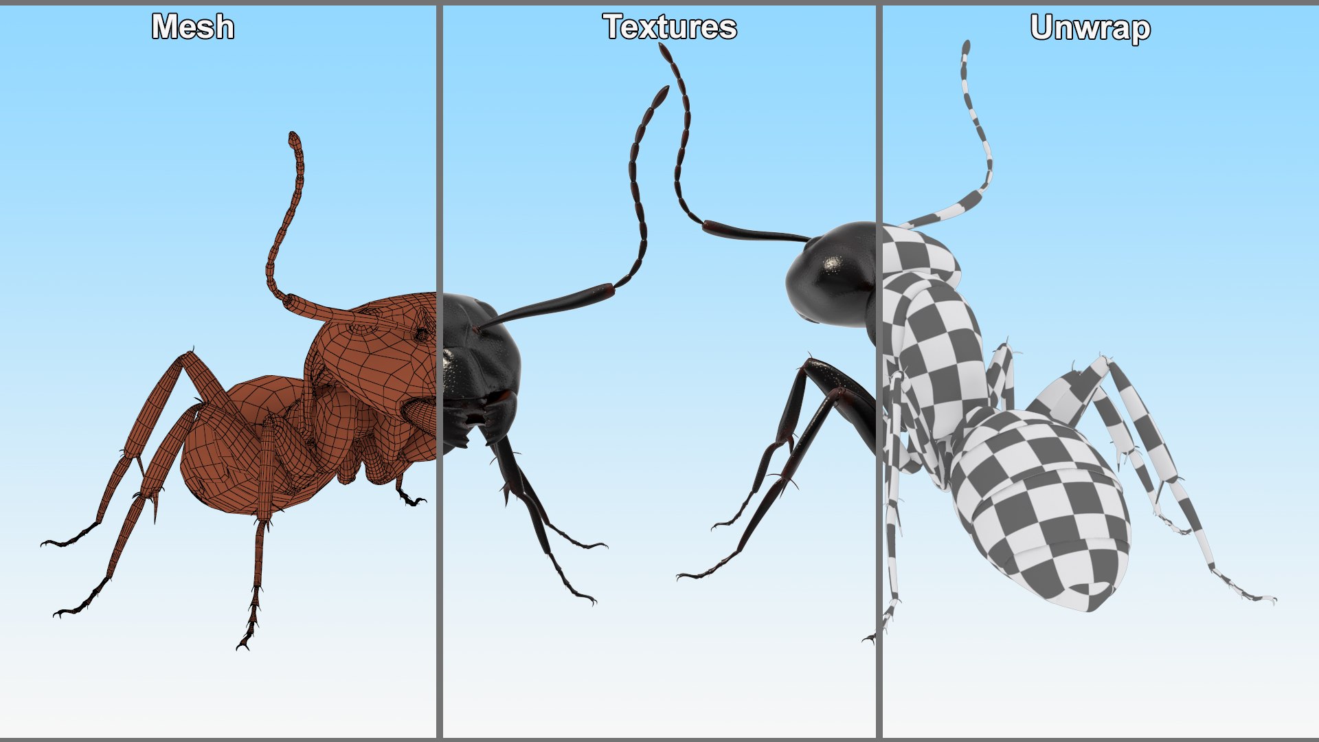 Realistic Black Ant Insect 3D model https://p.turbosquid.com/ts-thumb/1Z/vu0en3/6r/realistic_black_ant_insect_010/jpg/1738881024/1920x1080/fit_q87/916e7e941abee23cfbb8318b57ed2f2426a5cba5/realistic_black_ant_insect_010.jpg