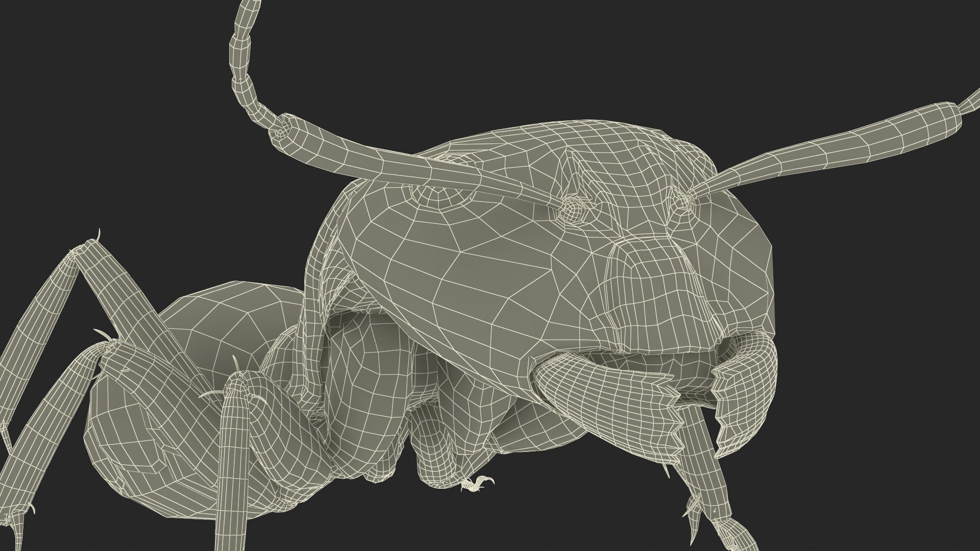 Realistic Black Ant Insect 3D model https://p.turbosquid.com/ts-thumb/1Z/vu0en3/Az/realistic_black_ant_insect_018/jpg/1738881058/1920x1080/fit_q87/d2e080c3d842f0878ba287b74098c71bc79363db/realistic_black_ant_insect_018.jpg