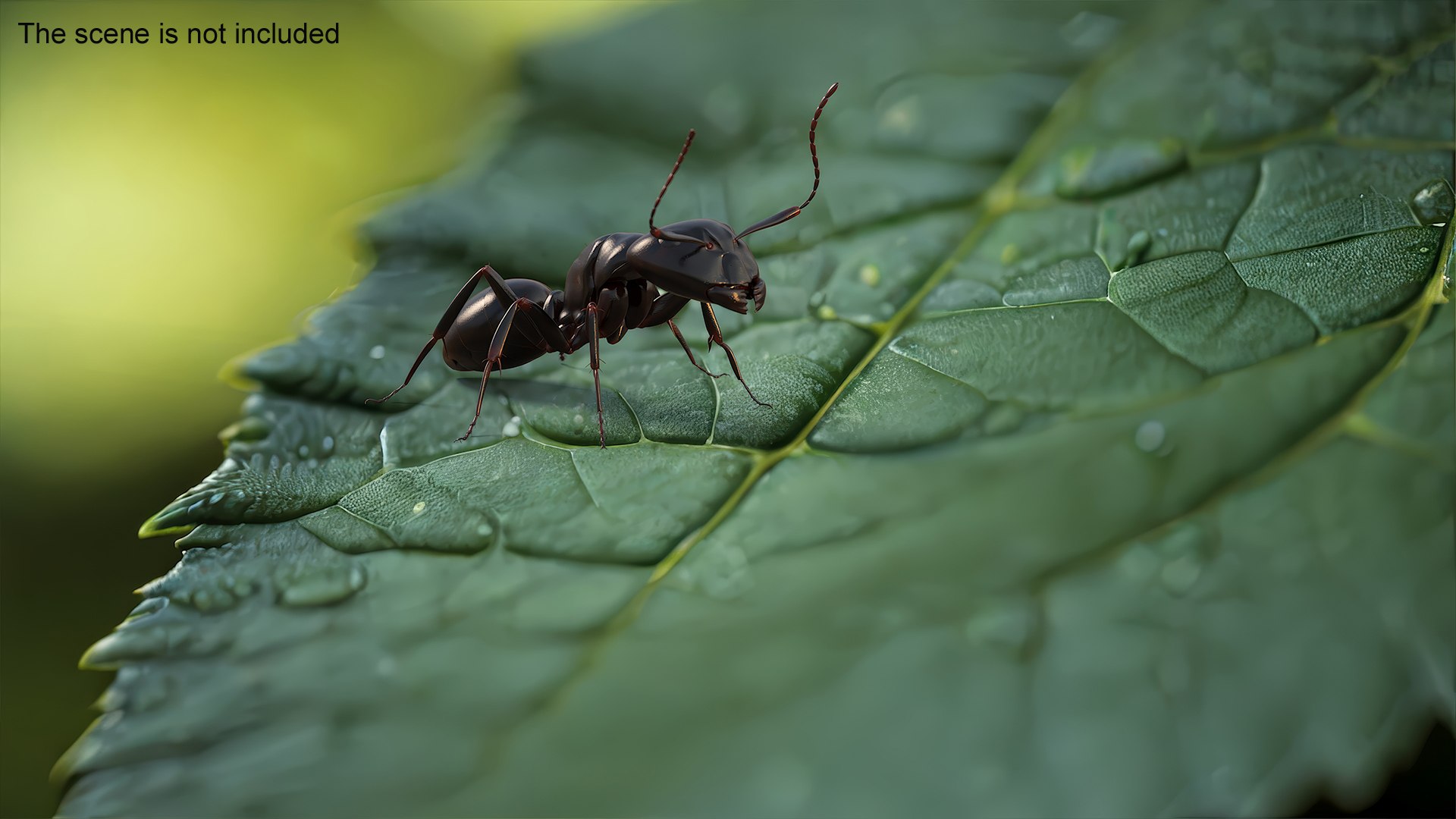 Realistic Black Ant Insect 3D model https://p.turbosquid.com/ts-thumb/1Z/vu0en3/IB/realistic_black_ant_insect_004/jpg/1738880998/1920x1080/fit_q87/7b40c061bdde7efccaa35f917c22ac283586393c/realistic_black_ant_insect_004.jpg