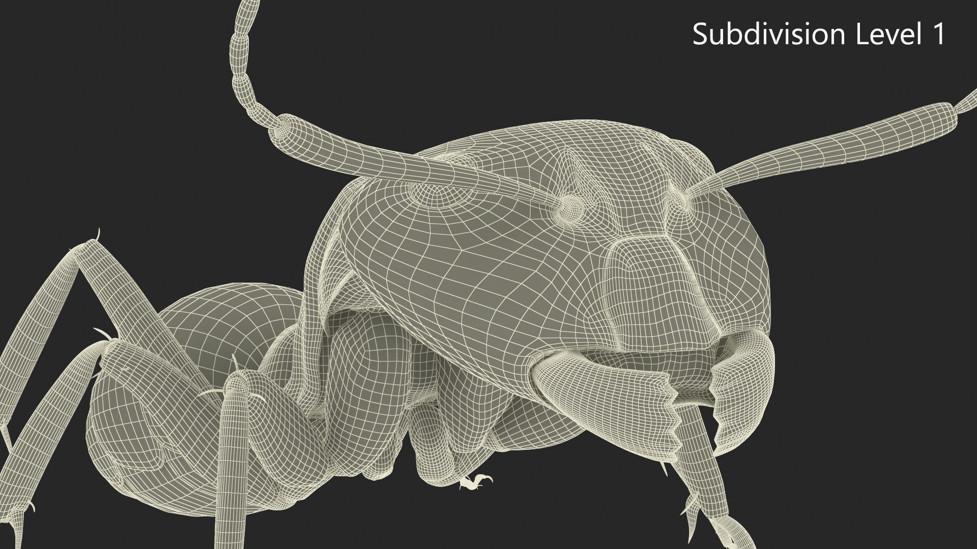 Realistic Black Ant Insect 3D model https://p.turbosquid.com/ts-thumb/1Z/vu0en3/Ss/realistic_black_ant_insect_012/jpg/1738881033/1920x1080/fit_q87/f4825483f2e1eb264463e56e6141b12a8e813086/realistic_black_ant_insect_012.jpg