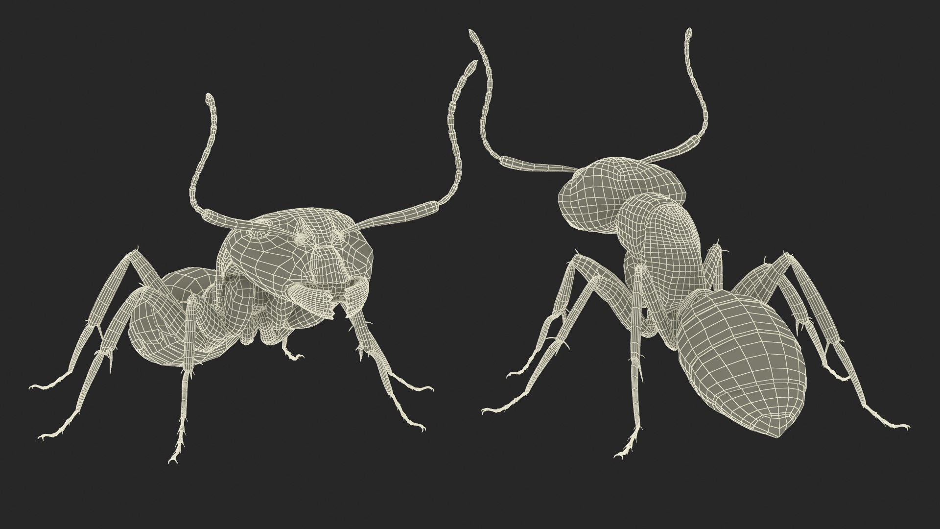 Realistic Black Ant Insect 3D model https://p.turbosquid.com/ts-thumb/1Z/vu0en3/XM/realistic_black_ant_insect_016/jpg/1738881049/1920x1080/fit_q87/ec1c2ea25a79ca34154d16f25816cb19153171c4/realistic_black_ant_insect_016.jpg