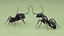 Realistic Black Ant Insect