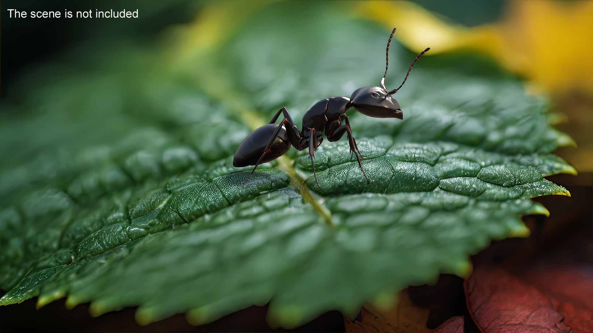 Realistic Black Ant Insect 3D model https://p.turbosquid.com/ts-thumb/1Z/vu0en3/yp/realistic_black_ant_insect_003/jpg/1738880994/1920x1080/fit_q87/6519554b668b2b28431df37b1951f7be1b720b7d/realistic_black_ant_insect_003.jpg