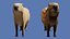 Capybara 3D model