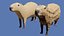 Capybara 3D model