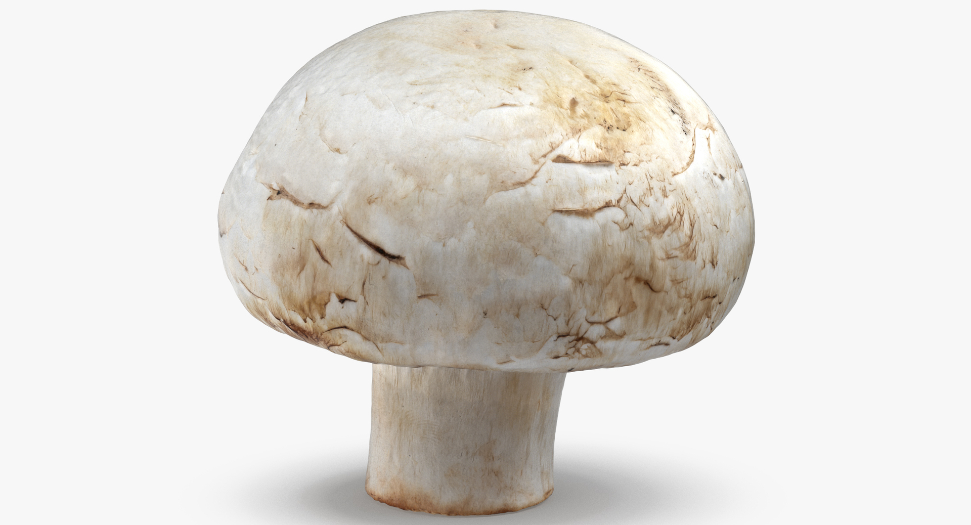 3D vegetables 01 - 17 model https://p.turbosquid.com/ts-thumb/1a/AP76Ln/mVyZAy29/0000/jpg/1574179035/1920x1080/turn_fit_q99/b216dcb48b359b0375ac4213e619686fa712e442/0000-1.jpg