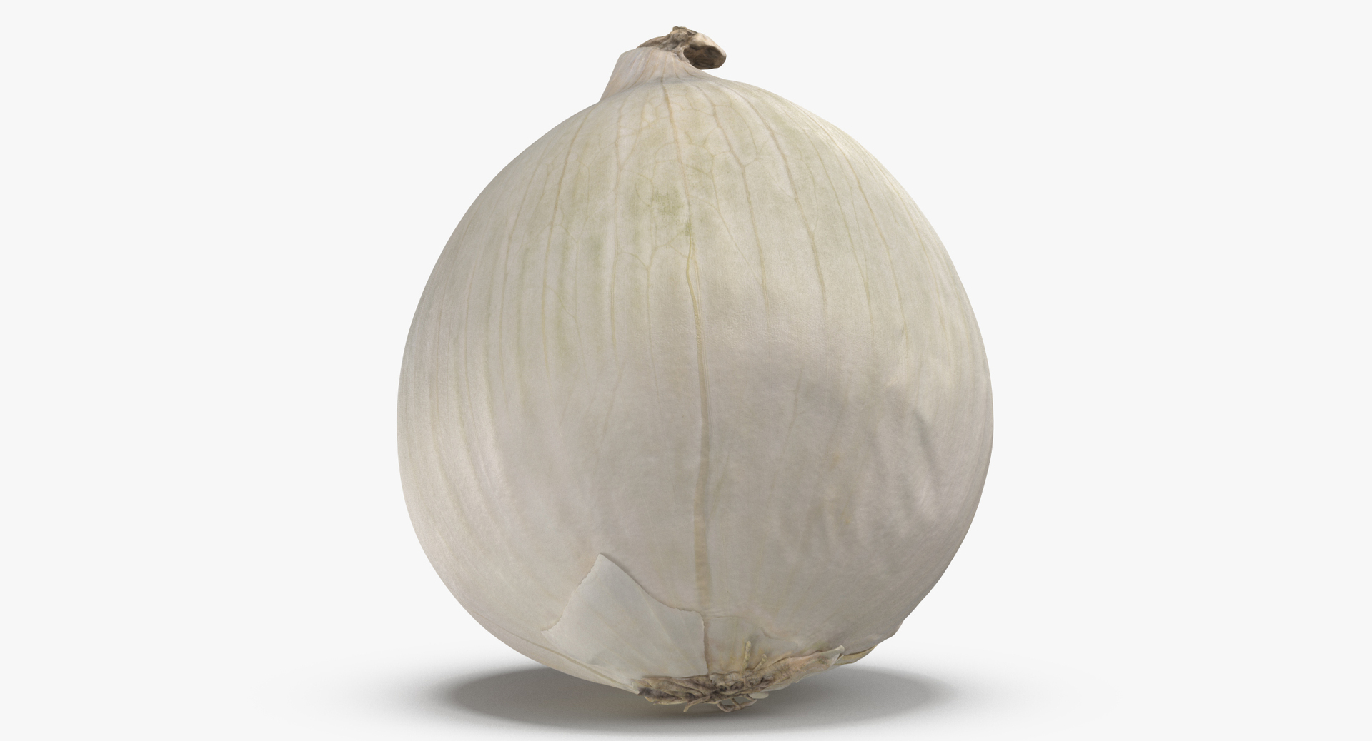 3D vegetables 01 - 17 model https://p.turbosquid.com/ts-thumb/1a/AP76Ln/ndcsGfE9/0000/jpg/1574178707/1920x1080/turn_fit_q99/1e02a88209218f839f7f5e255df0cde0f7e1a413/0000-1.jpg