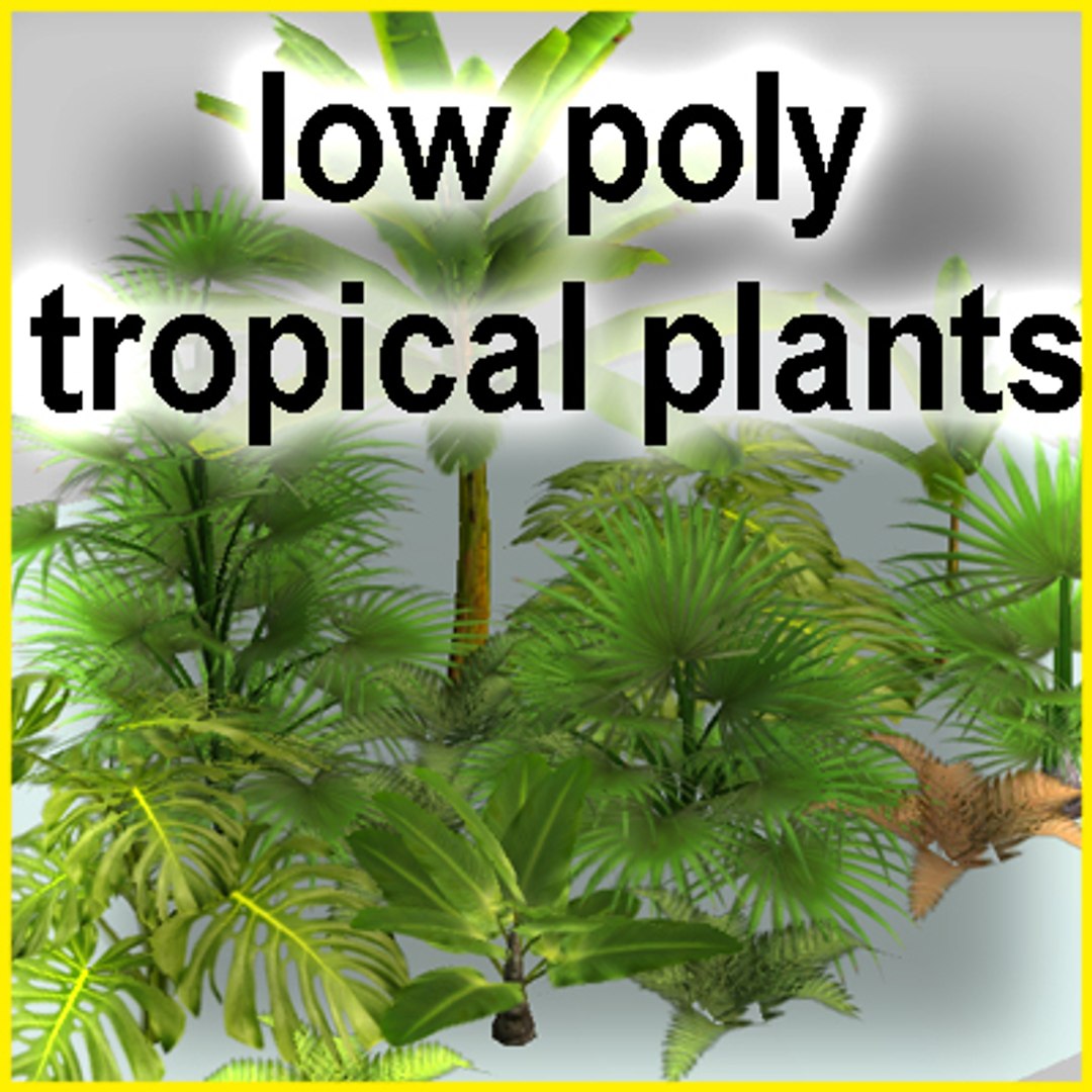 3d Model Tropical Plants