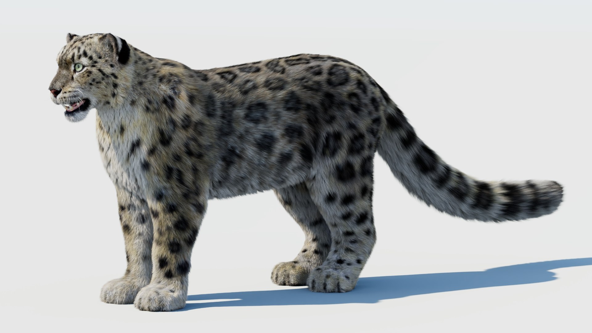 3D Snow Leopard 3D Model With Fur - TurboSquid 2485819