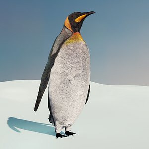 Emperor Penguin