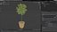 Holly Pot Plant Green with Fruits