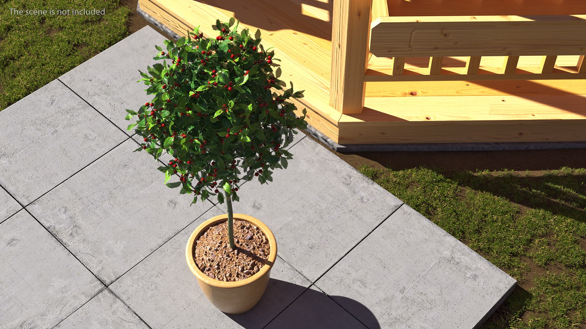 3D Holly Pot Plant Green with Fruits https://p.turbosquid.com/ts-thumb/1a/WroSd6/EW/hollypotplantgreenwithfruits3dsmodel003/jpg/1647621887/1920x1080/fit_q87/5bd68984e761153516a67179f09d33d17907a0e5/hollypotplantgreenwithfruits3dsmodel003.jpg