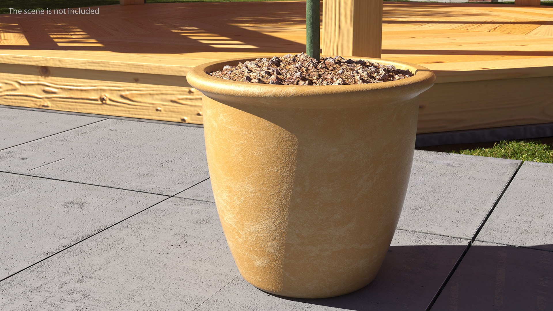 3D Holly Pot Plant Green with Fruits https://p.turbosquid.com/ts-thumb/1a/WroSd6/Jh/hollypotplantgreenwithfruits3dsmodel006/jpg/1647621896/1920x1080/fit_q87/03cf2ce943a70ea405cad87861901ef9d97e1634/hollypotplantgreenwithfruits3dsmodel006.jpg
