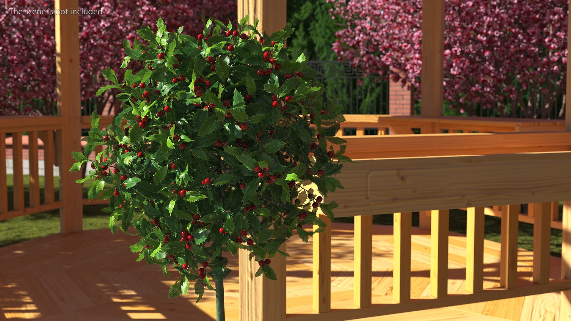 3D Holly Pot Plant Green with Fruits https://p.turbosquid.com/ts-thumb/1a/WroSd6/KD/hollypotplantgreenwithfruits3dsmodel004/jpg/1647621890/1920x1080/fit_q87/873488fc3f3744d5a32ad7b325b0c448cb3bea37/hollypotplantgreenwithfruits3dsmodel004.jpg