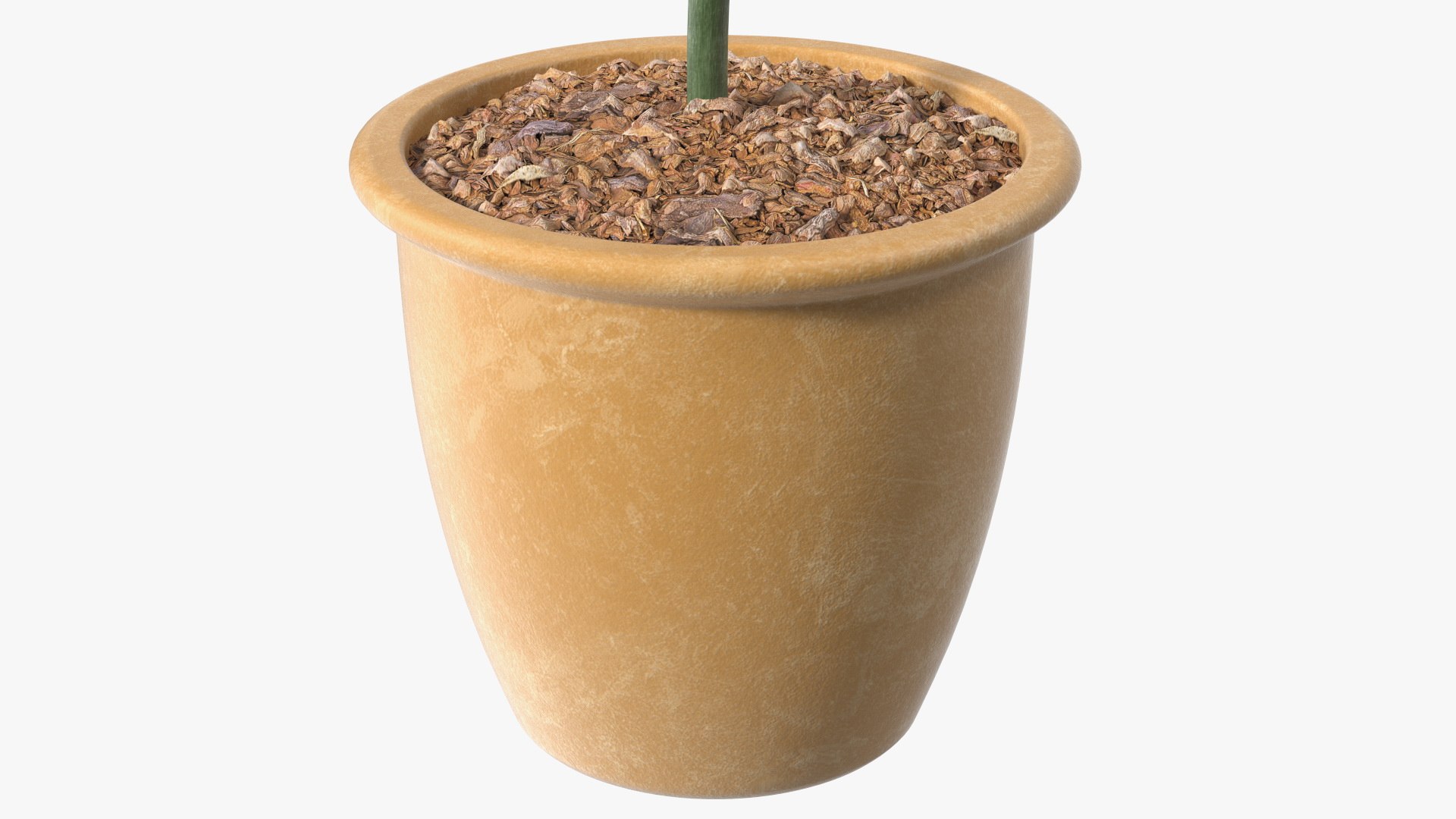 3D Holly Pot Plant Green with Fruits https://p.turbosquid.com/ts-thumb/1a/WroSd6/Wg/hollypotplantgreenwithfruits3dsmodel011/jpg/1647621914/1920x1080/fit_q87/b0e64cec11da7bd46fdb6ad0525764d45f973ffb/hollypotplantgreenwithfruits3dsmodel011.jpg