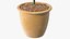 Holly Pot Plant Green with Fruits