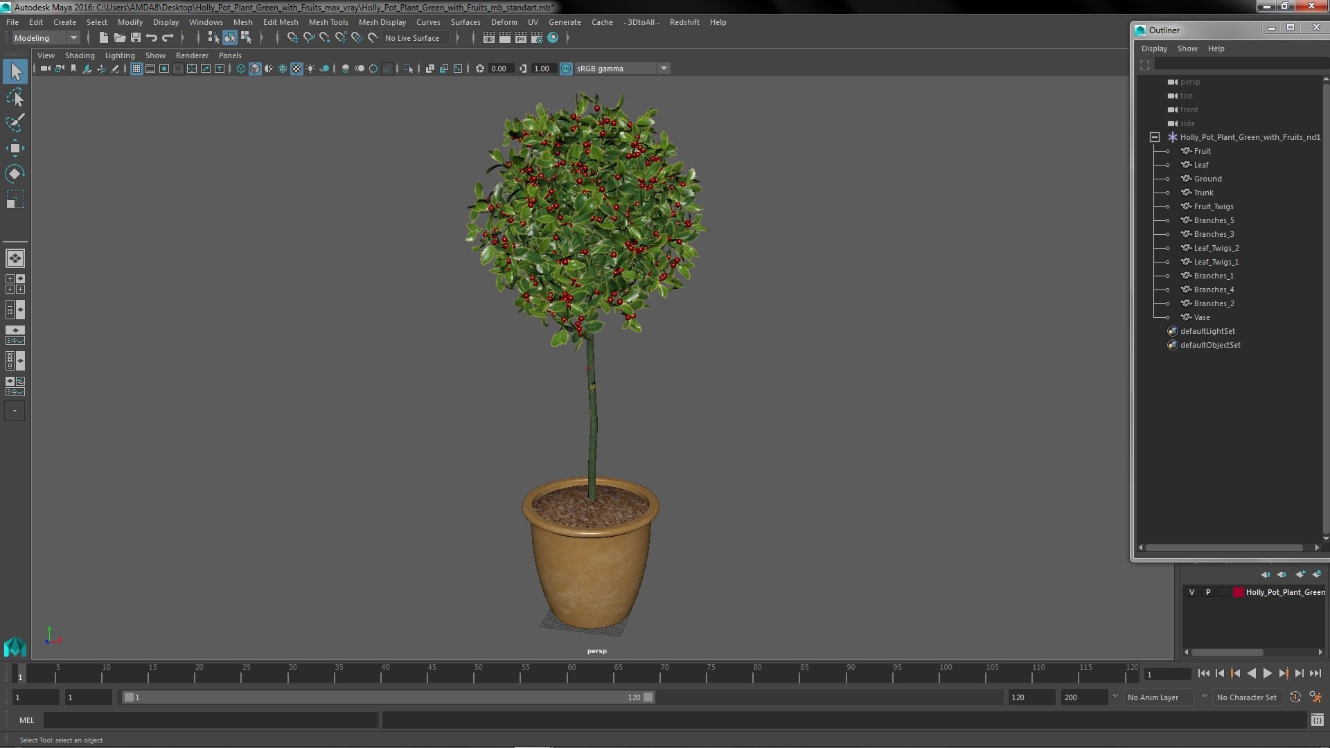 3D Holly Pot Plant Green with Fruits https://p.turbosquid.com/ts-thumb/1a/WroSd6/bx/hollypotplantgreenwithfruits3dsmodel019/jpg/1647621938/1920x1080/fit_q87/643240ab0f4a7dfd30bb23ba9e431236dd383e90/hollypotplantgreenwithfruits3dsmodel019.jpg