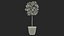 Holly Pot Plant Green with Fruits