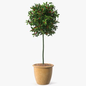 3D Holly Pot Plant Green with Fruits