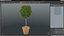 Holly Pot Plant Green with Fruits