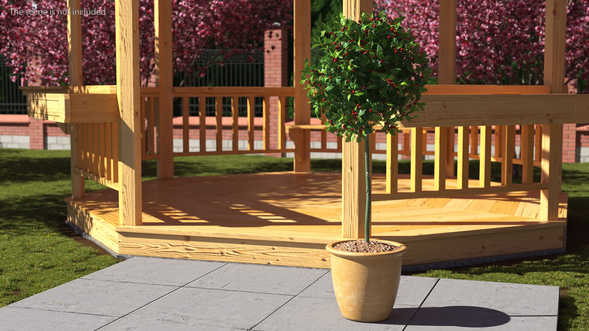 3D Holly Pot Plant Green with Fruits https://p.turbosquid.com/ts-thumb/1a/WroSd6/qI/hollypotplantgreenwithfruits3dsmodel002/jpg/1647621884/1920x1080/fit_q87/0f4136528d9a99bf9e8891c06a8a2c2d47e8fdfb/hollypotplantgreenwithfruits3dsmodel002.jpg