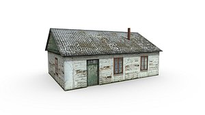 3D Village house