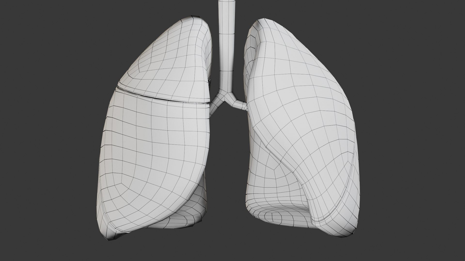 3D respiratory smoker s lungs - TurboSquid 1531509