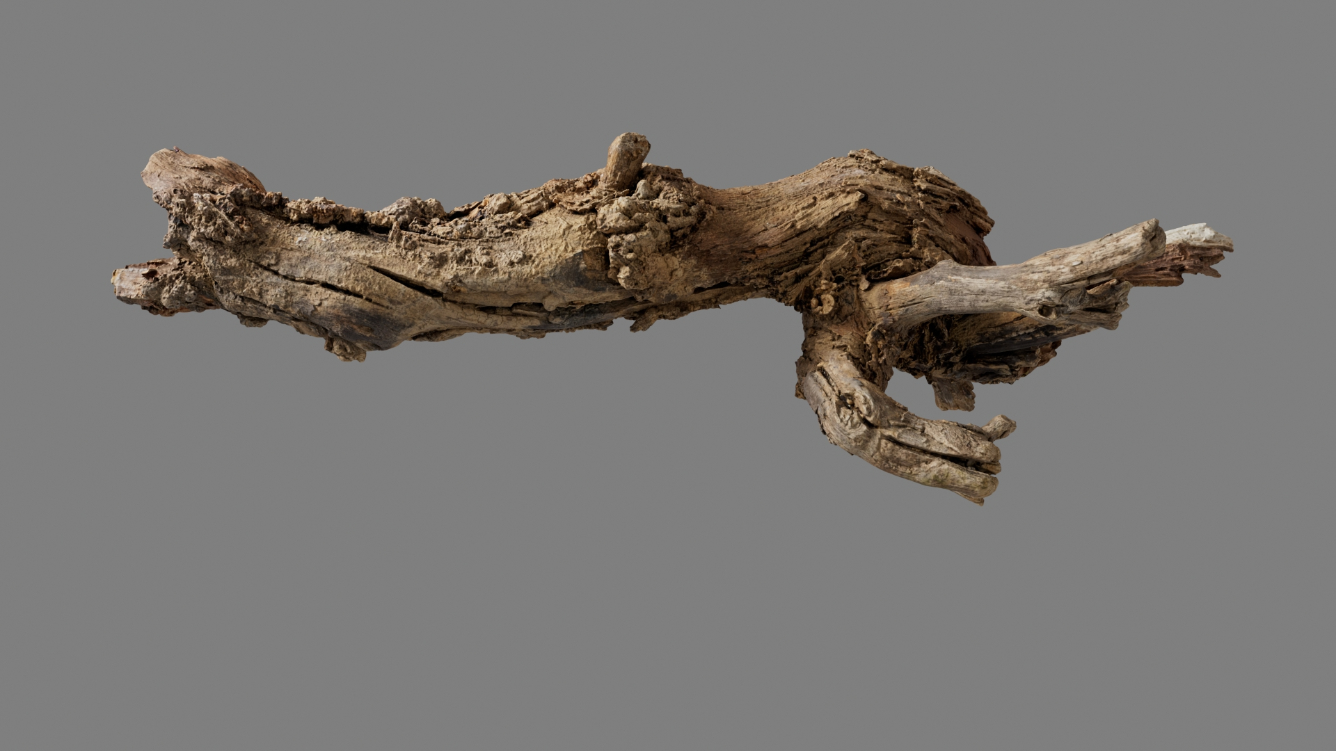 Grapevine Bark Collection 3D model https://p.turbosquid.com/ts-thumb/1a/mEbMCr/3B/grapvine03/jpg/1669361296/1920x1080/turn_fit_q99/85aeca83bb18fce6c8118c61e19e79a6620840db/grapvine03-1.jpg