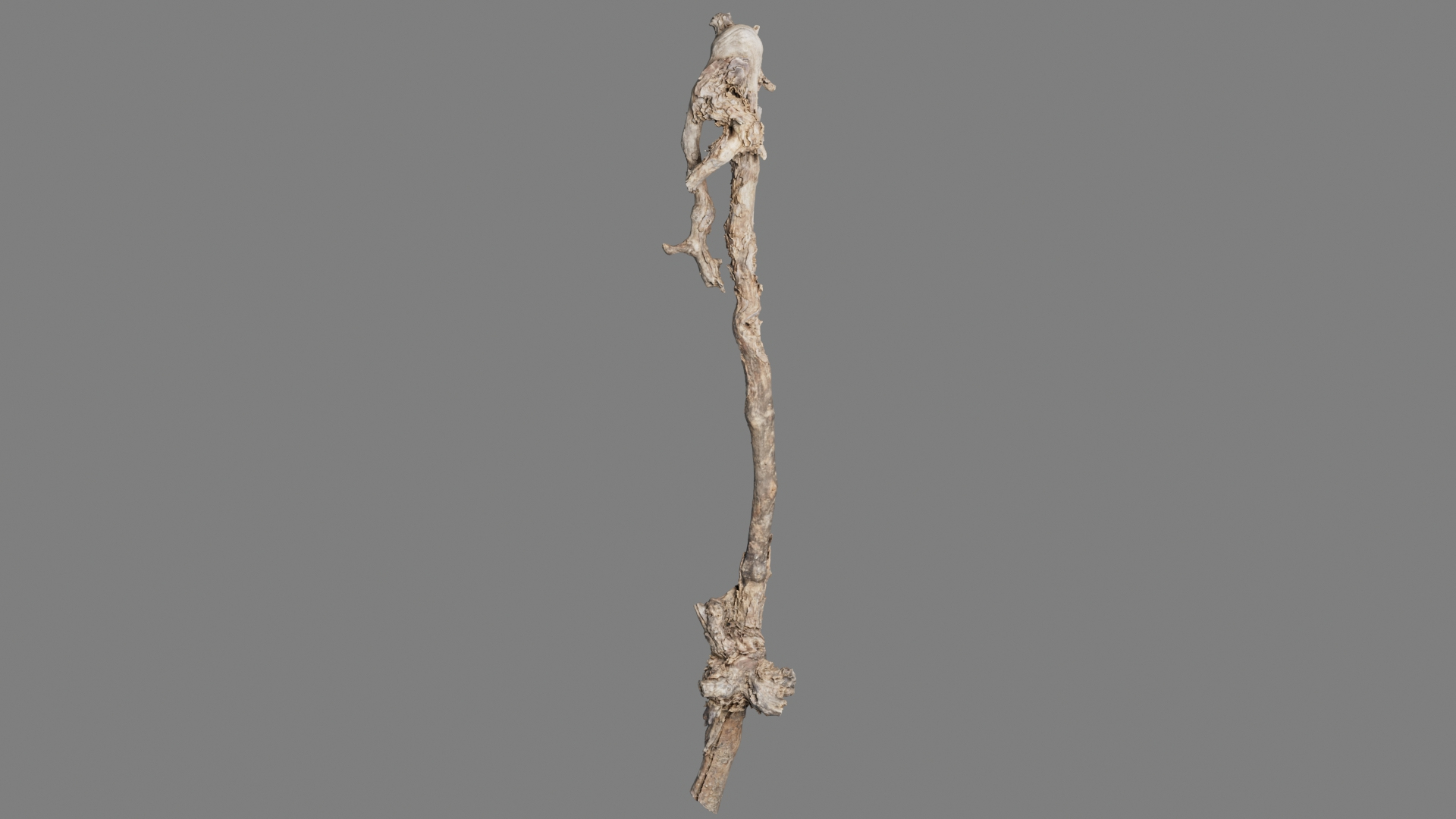 Grapevine Bark Collection 3D model https://p.turbosquid.com/ts-thumb/1a/mEbMCr/Fm/grapevine01/jpg/1658582146/1920x1080/turn_fit_q99/0b5a800f30fff57462620d70f8faa5cedf4e4852/grapevine01-1.jpg