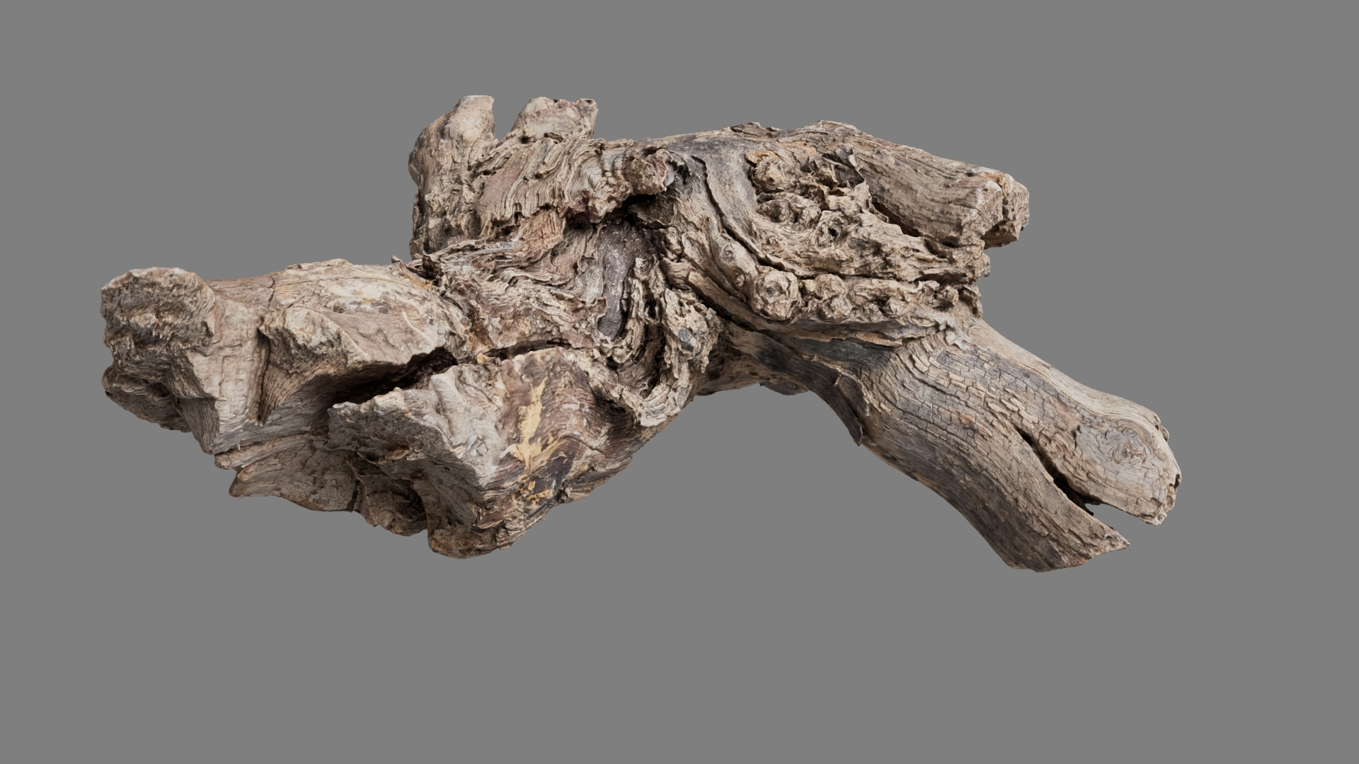 Grapevine Bark Collection 3D model https://p.turbosquid.com/ts-thumb/1a/mEbMCr/N0/grap12/jpg/1669364232/1920x1080/turn_fit_q99/86ae072a50f6a8e73caf431b253639f3472876d7/grap12-1.jpg