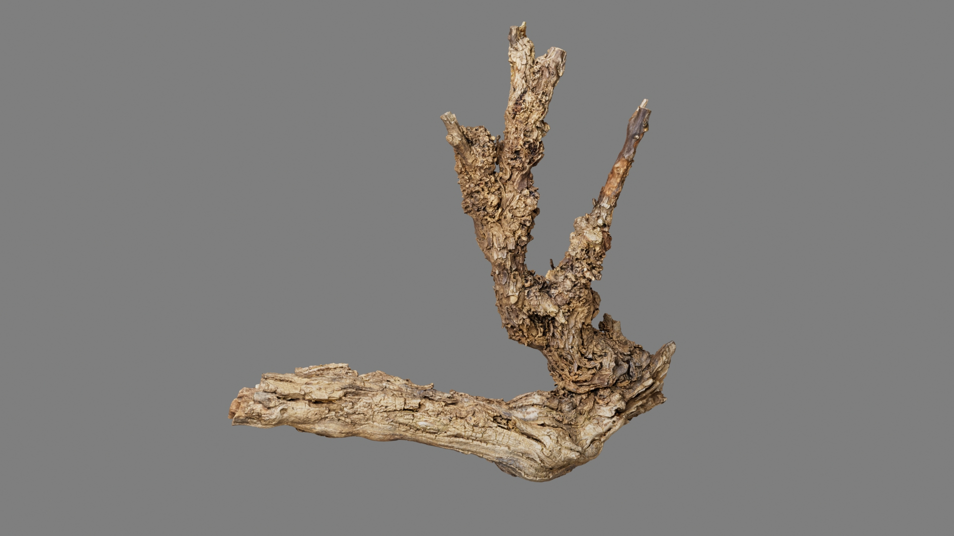 Grapevine Bark Collection 3D model https://p.turbosquid.com/ts-thumb/1a/mEbMCr/YU/grapevine02/jpg/1658583387/1920x1080/turn_fit_q99/8bf64528d1e5375d08717bb726e6adcf0cd9e698/grapevine02-1.jpg