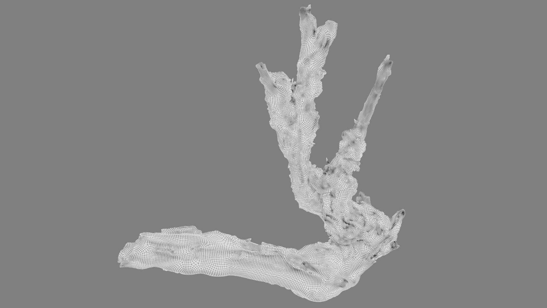 Grapevine Bark Collection 3D model https://p.turbosquid.com/ts-thumb/1a/mEbMCr/m1/grapevine_02_wf_l0/jpg/1658583364/1920x1080/fit_q87/51b8ebac20169eb132a620f8f1926e6f31fd283c/grapevine_02_wf_l0.jpg