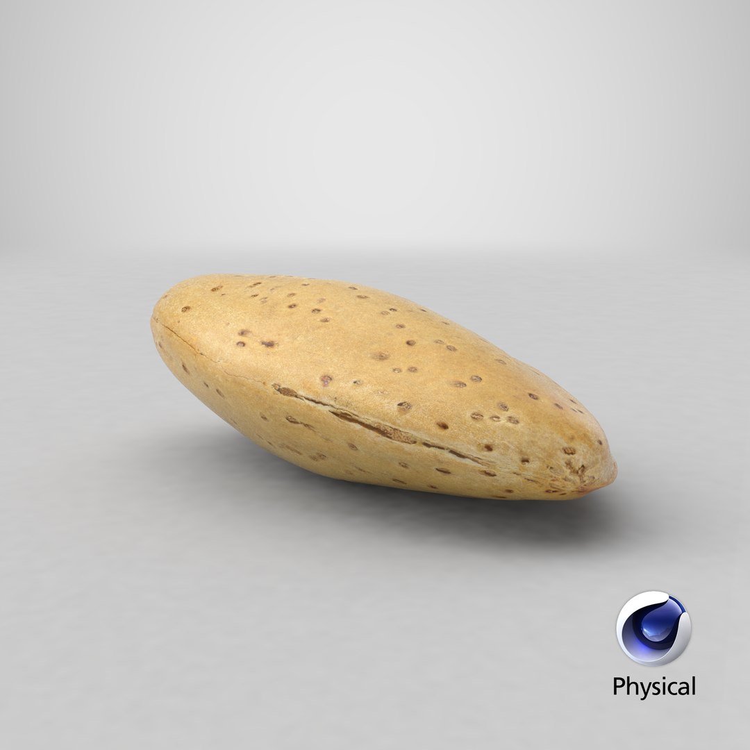 3D almond shell 02 https://p.turbosquid.com/ts-thumb/1a/rubP6K/Zm5Qm8By/stemcell_cinema_4d_physical_render/png/1582710780/1920x1080/fit_q87/a9e4af6ac3579b177c0f4ad53930f82566c41c2f/stemcell_cinema_4d_physical_render.jpg
