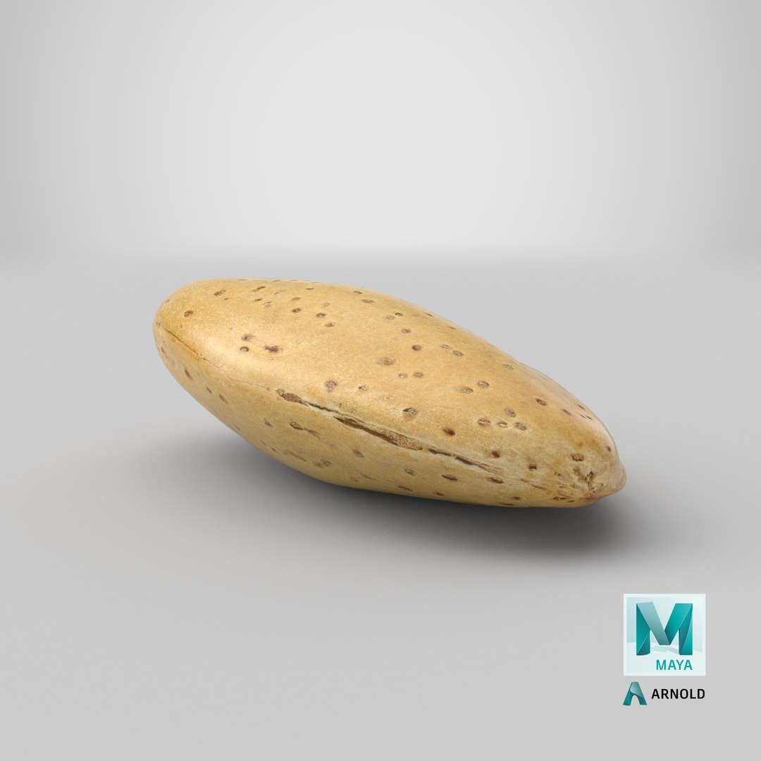3D almond shell 02 https://p.turbosquid.com/ts-thumb/1a/rubP6K/fLMUwQ1L/stemcell_maya_arnold_render/png/1582710796/1920x1080/fit_q87/2b15b9b91fc22aa37f252fec02d6d921b59e68bb/stemcell_maya_arnold_render.jpg
