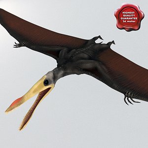 Dinosaur Pterosaur Static