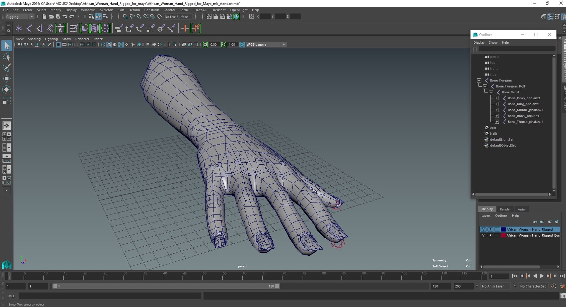 3D African Woman Hand Rigged For Maya - TurboSquid 2175155