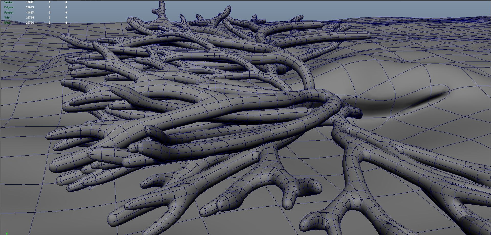 3d Codium Model
