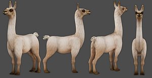 farm animal alpaca mammal 3D model