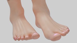 3D model female foot