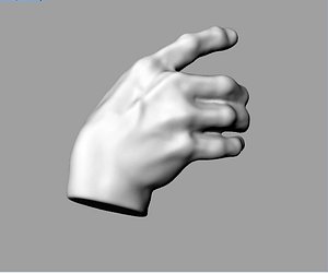 hand grasp 3D